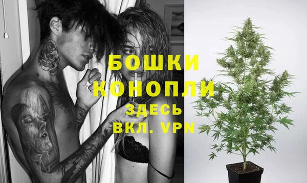 ПСИЛОЦИБИНОВЫЕ ГРИБЫ Саяногорск
