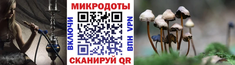 где продают   Курчалой  Галлюциногенные грибы GOLDEN TEACHER 