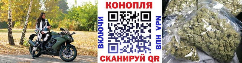 закладки  Курчалой  Марихуана MAZAR 